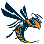 Cedarville University logo