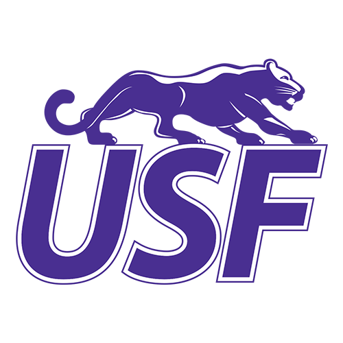 Sioux Falls logo