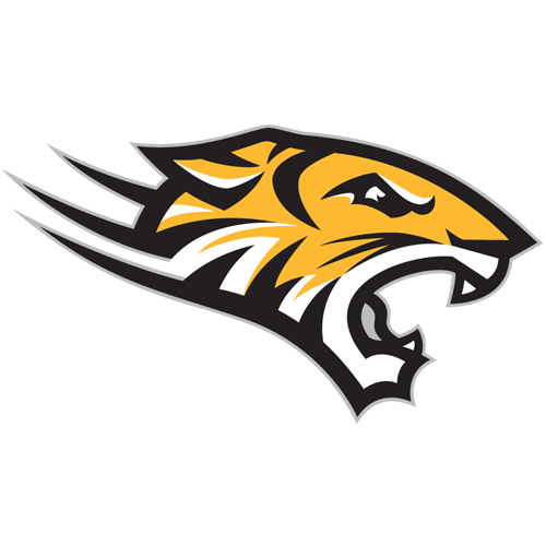 Towson University logo