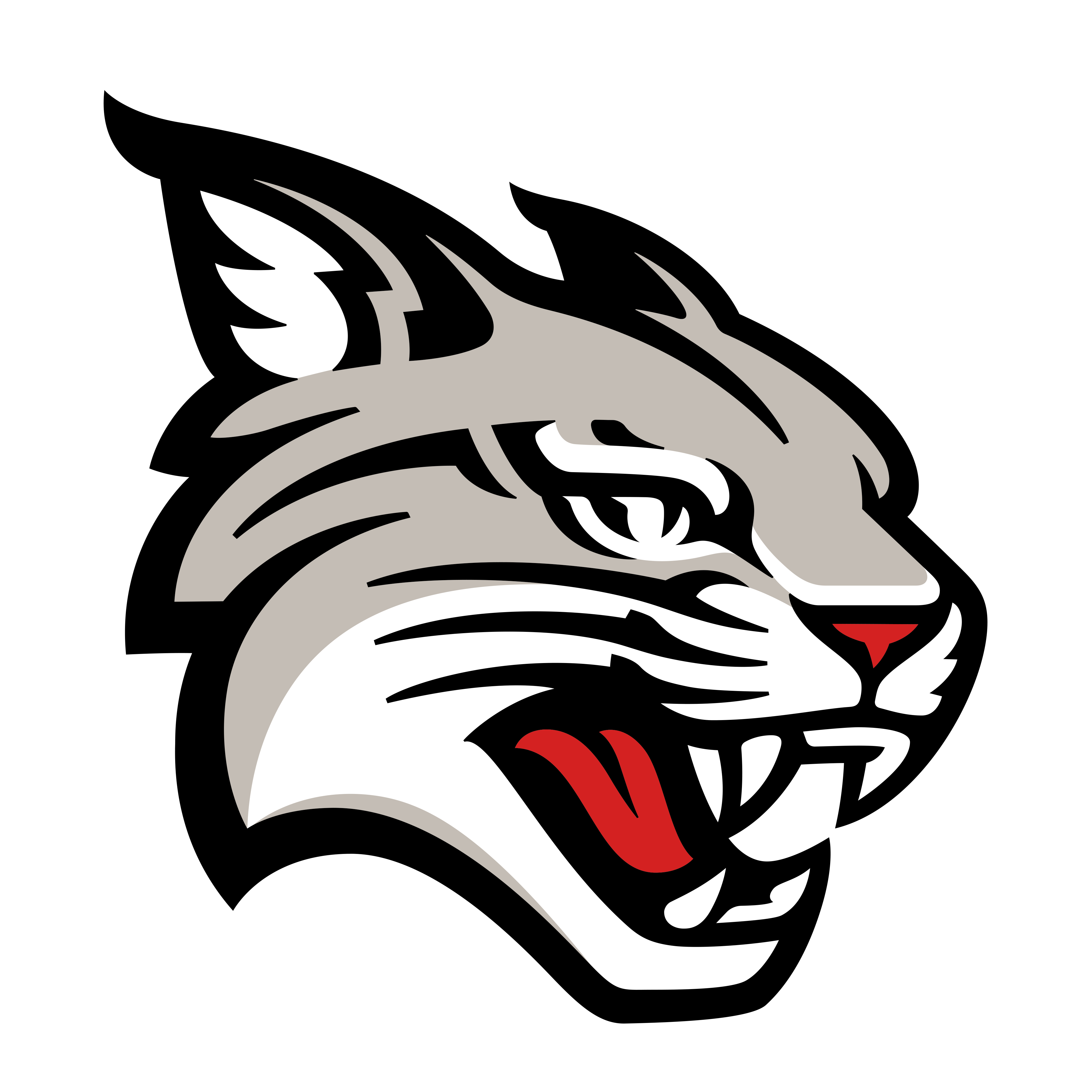 Davidson College logo