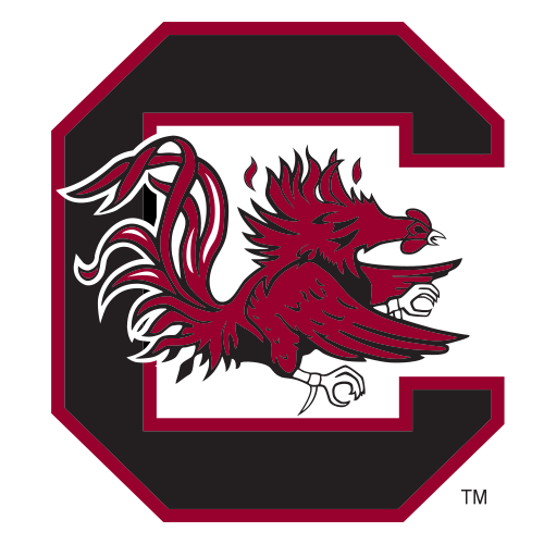 University of South Carolina logo
